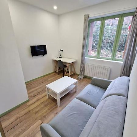 T1 Bis 1 Chambre Saint-Etienne  Eksteriør billede