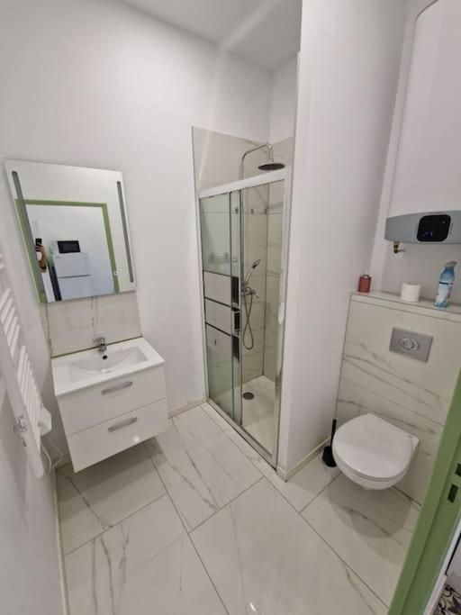 T1 Bis 1 Chambre Saint-Etienne  Eksteriør billede