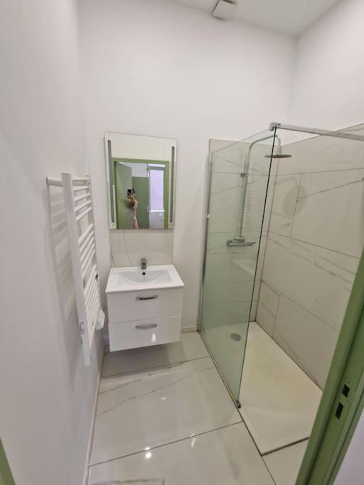 T1 Bis 1 Chambre Saint-Etienne  Eksteriør billede